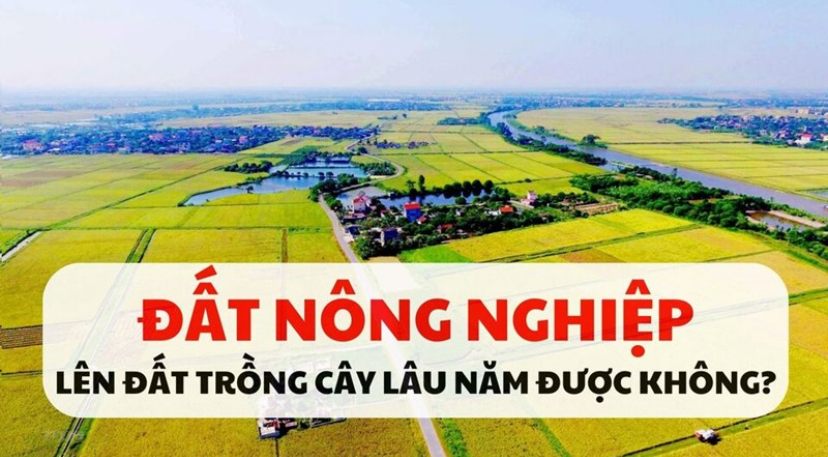 Làm thế nào chuyển đổi mục đích sử dụng đất nông nghiệp
