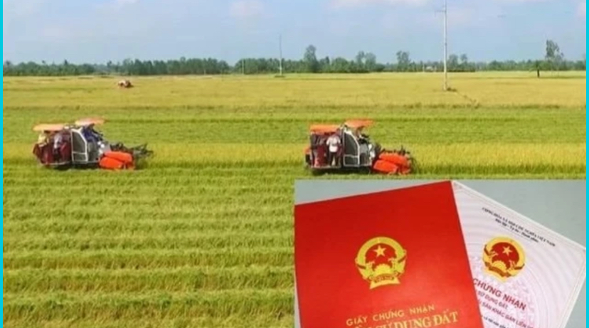 Người dân dễ dàng chuyển từ đất nông nghiệp lên đất thổ cư theo Luật mới 2024 nhờ quy định này, nên biết để làm thủ tục